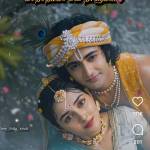 SUBASH R Profile Picture