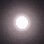 Lalukumar9955 Profile Picture