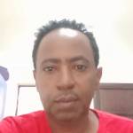 Goitom Arefaine Profile Picture