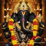 Vanojini Shan Profile Picture