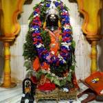 Kartikeswar Paik Profile Picture