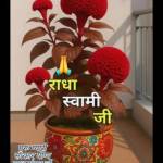 Anuj12 Profile Picture