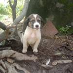 Natik Profile Picture