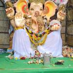 G.charan Kumar reddy Reddy Profile Picture