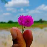Dilesh Makwana Profile Picture