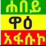 Nasera Ashamo Profile Picture