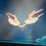 Salmon Samwel Profile Picture