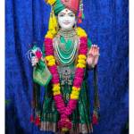 Patel Rinkal Profile Picture