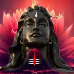 Shivam sinha Shivam Profile Picture